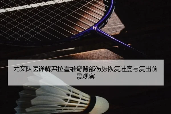 尤文队医详解弗拉霍维奇背部伤势恢复进度与复出前景观察